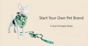 Custom dog harness and leash set for pet brand startup guide