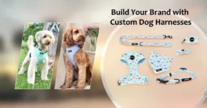 Two dogs wearing custom harnesses and a full matching set of personalized pet gear, including leash, collar, bow tie, and bandana, labeled with logo areas.