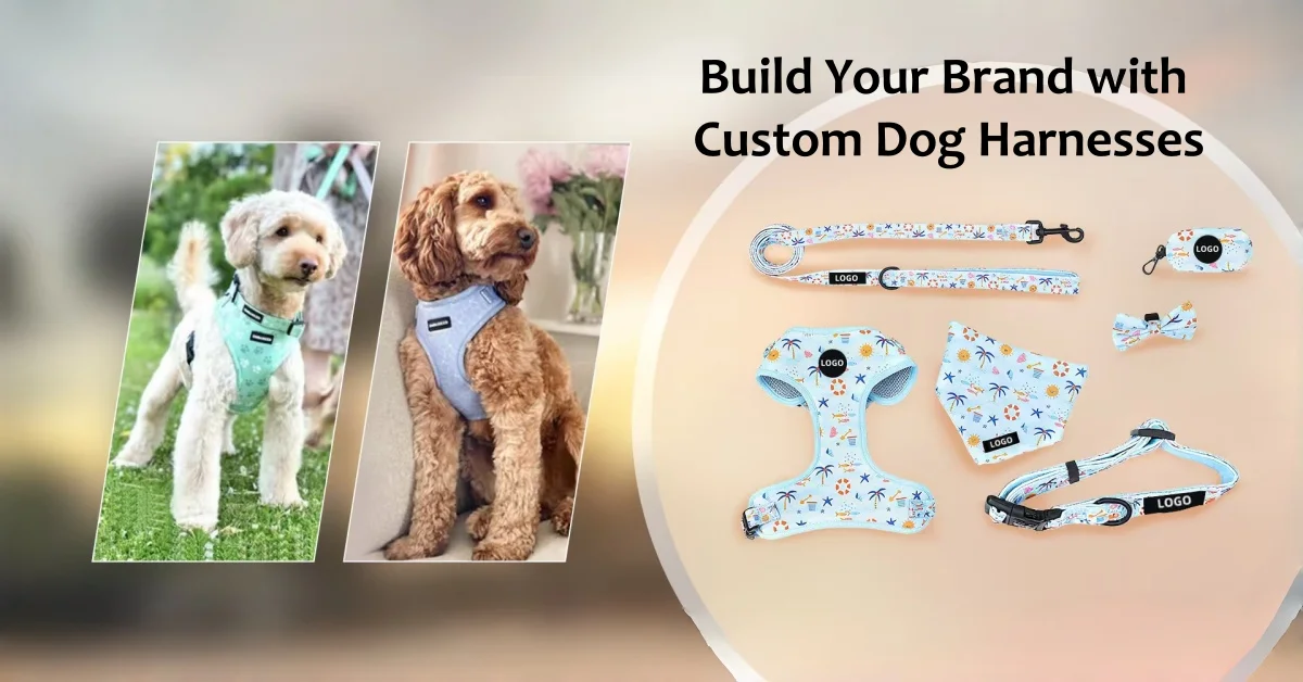 Two dogs wearing custom harnesses and a full matching set of personalized pet gear, including leash, collar, bow tie, and bandana, labeled with logo areas.