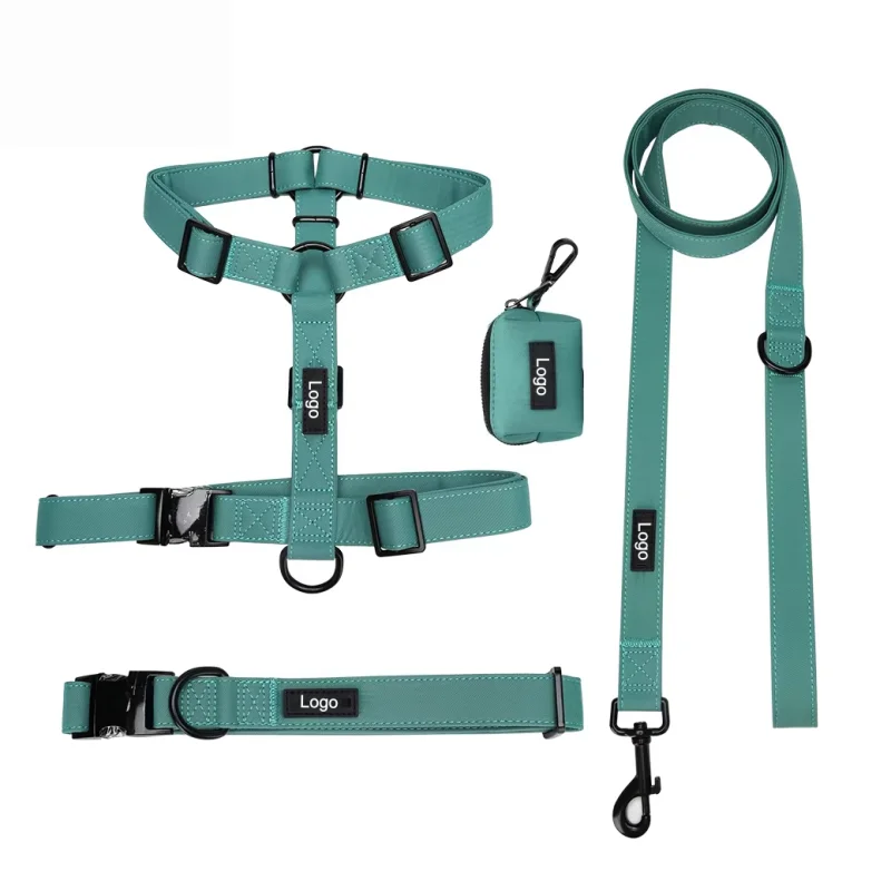 Custom teal green H dog harness set including no-pull reflective harness, leash, collar, and poop bag holder with logo branding.