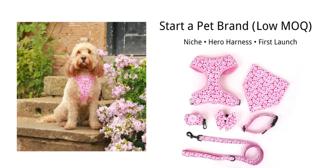 Start a pet brand low MOQ custom dog harness set